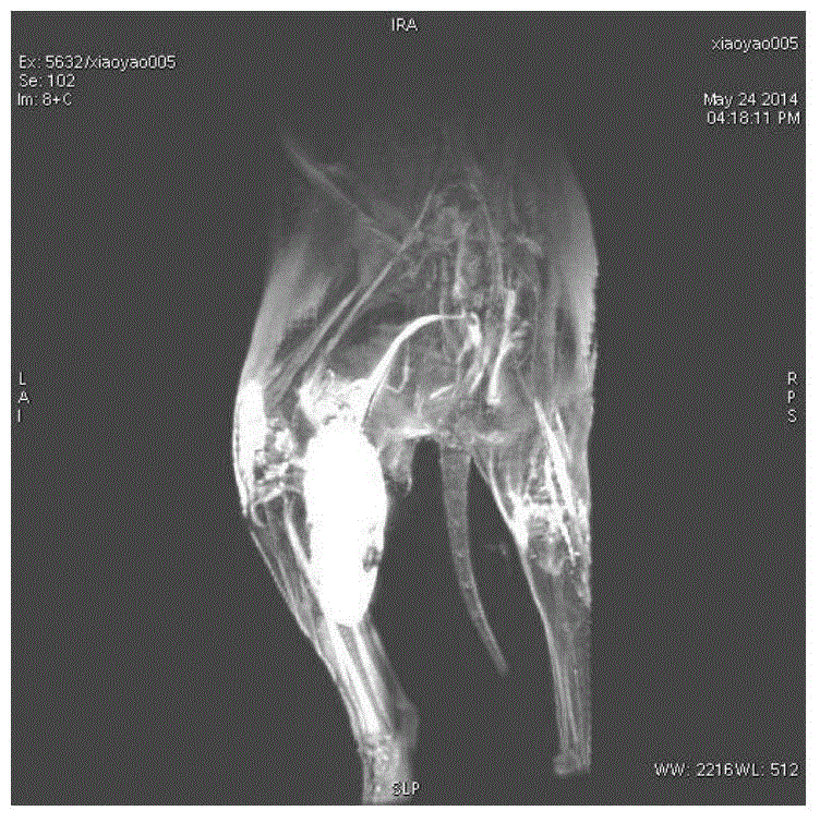 Preparation method of multifunctional probe for tumor thermotherapy as magnetic resonance imaging contrast agent