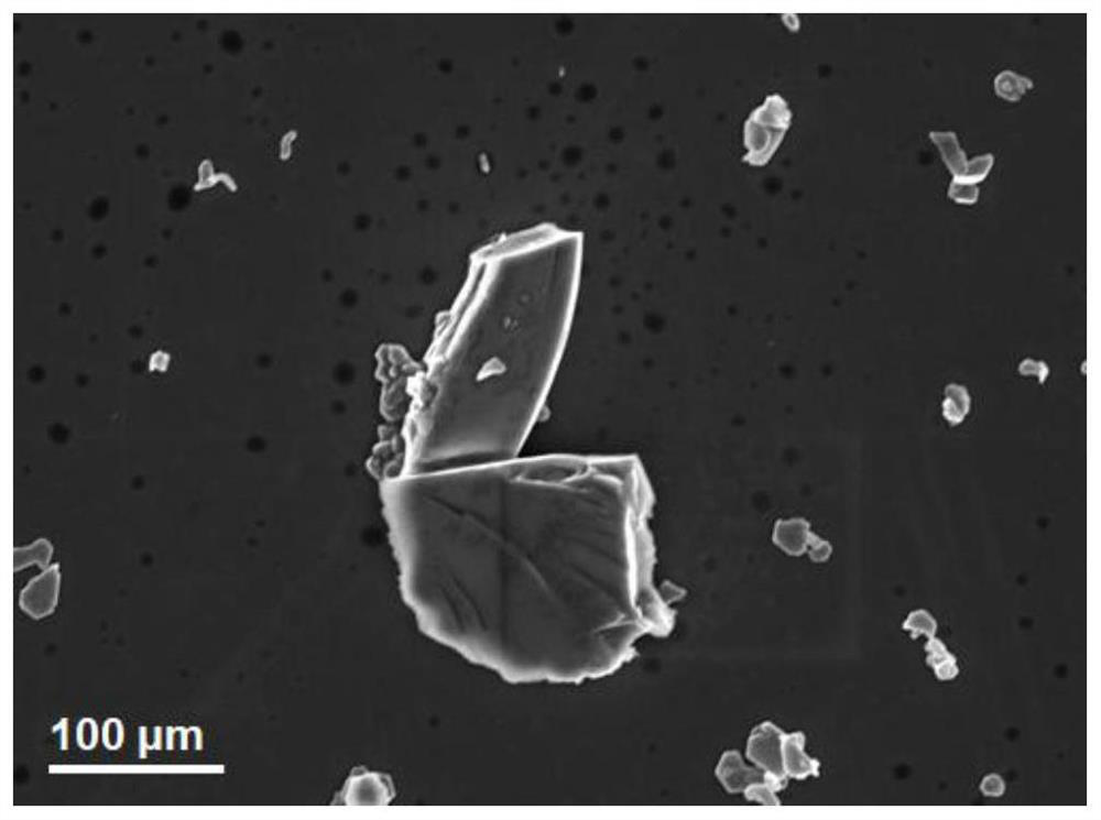 Titanium monosulfide particles and composite material thereof, preparation, application and coating material thereof