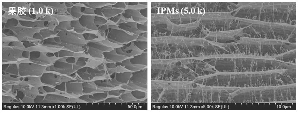 Icaritin nanoparticles as well as preparation method and application thereof