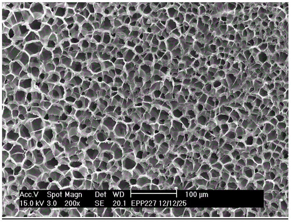 A kind of preparation method of polypropylene expanded beads