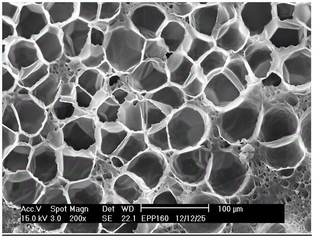 A kind of preparation method of polypropylene expanded beads