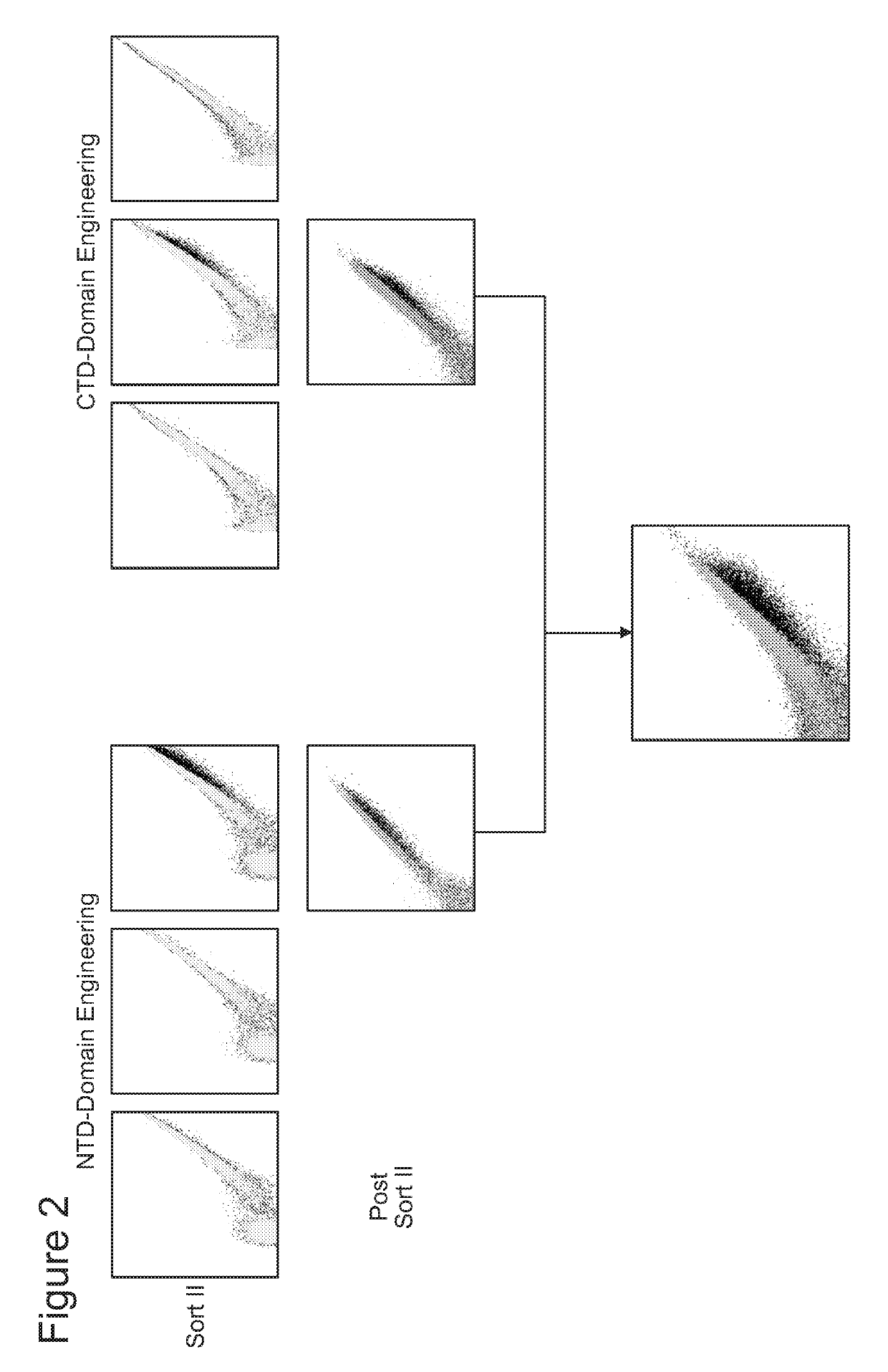 Il-10 receptor alpha homing endonuclease variants, compositions, and methods of use