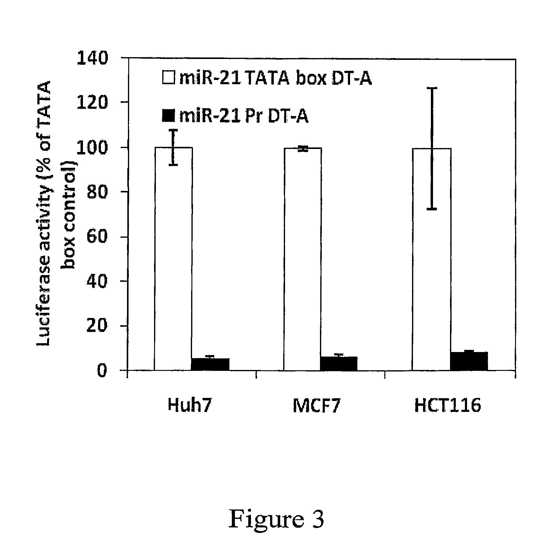 MIR-21 promoter driven targeted cancer therapy