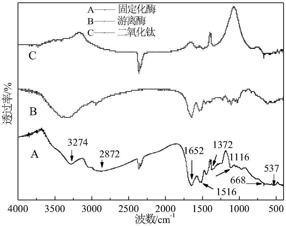 Self-induction-based method for biomimetic titanification of immobilized protease