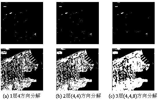 Image segmentation method based on non-subsampling shearlet transform and vector c-v model