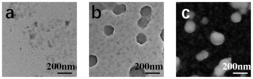 Biological cascade reaction type photodynamic integrated biopolymer, preparation method and applications thereof