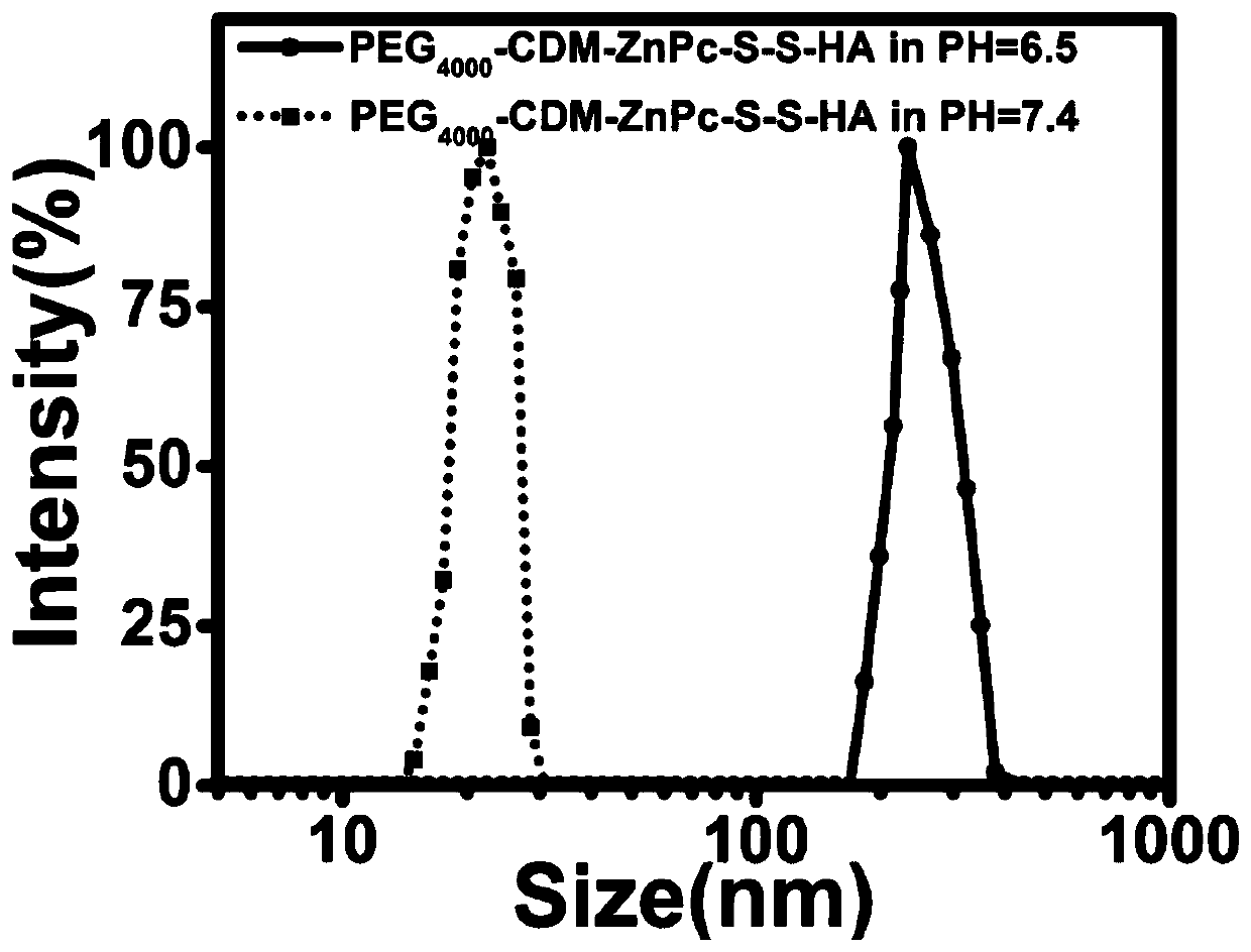 Biological cascade reaction type photodynamic integrated biopolymer, preparation method and applications thereof