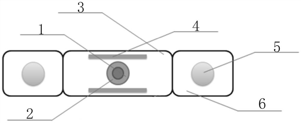 Strain pickup magnetic adsorption optical cable