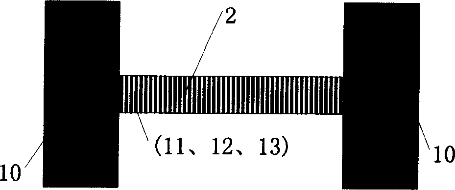 Nanometer structure micro mechanical biochemical sensor