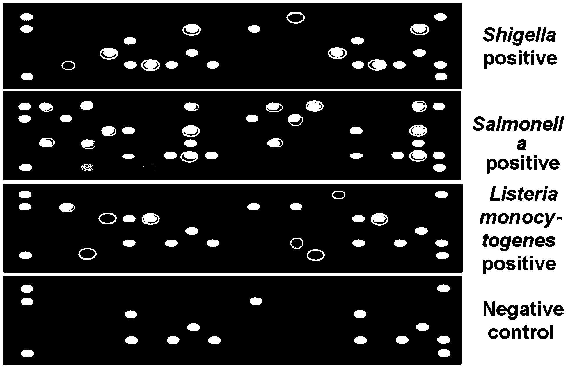 Quick high-throughput intestines source pathogenic bacterium detection method