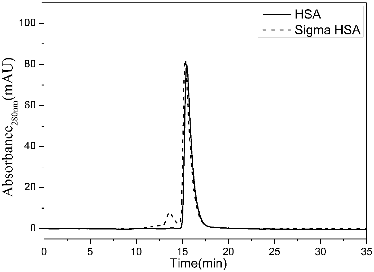 Preparation method of human serum albumin standard substance raw material as well as product and application thereof