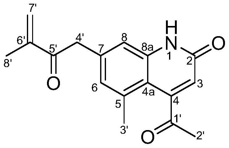 Tobacco black shank-resisting active compound in Thalictrum finetii Boivin as well as preparation method and application of tobacco black shank-resisting active compound