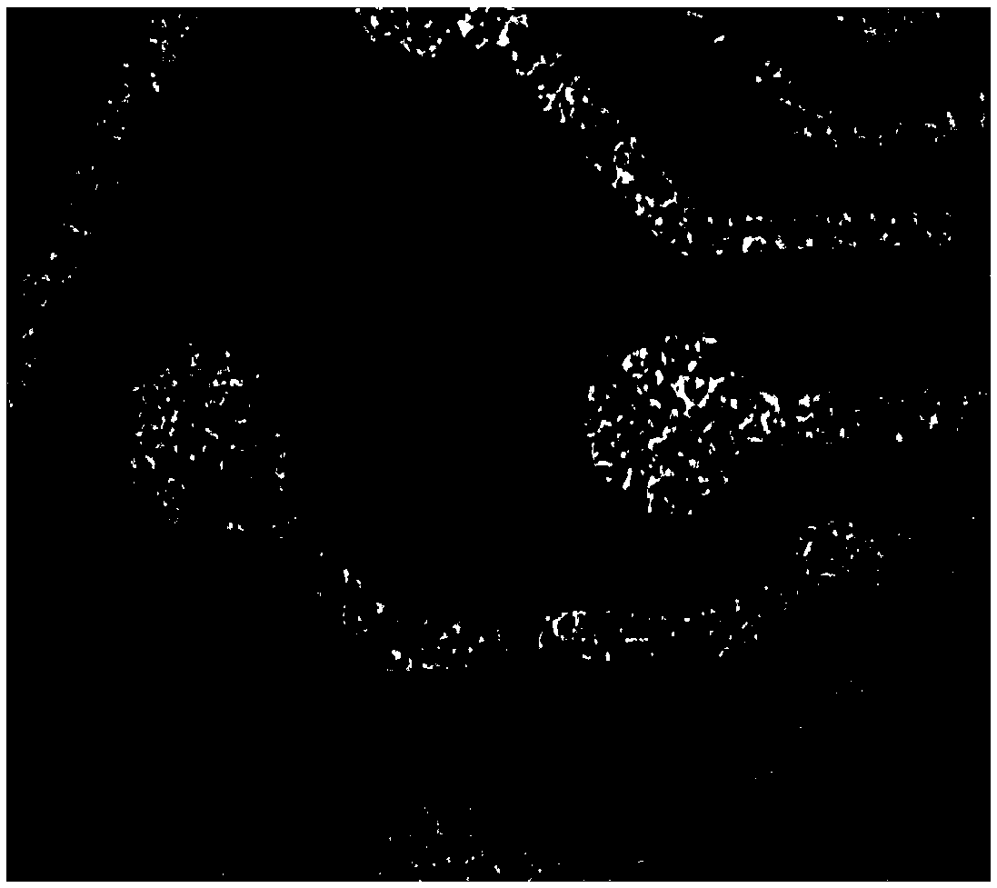 Ion palladium activating agent as well as preparation method and application thereof