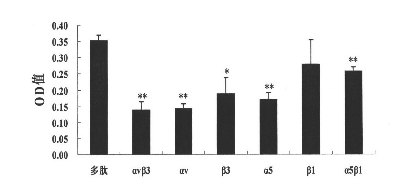 Application of integrin blocker polypeptide AP25 in preparation of medicines for treating tumor