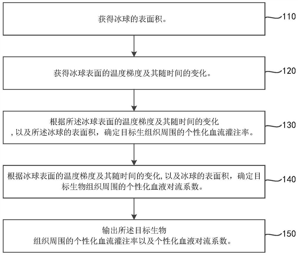 Biological tissue personalized blood perfusion rate evaluation method and system