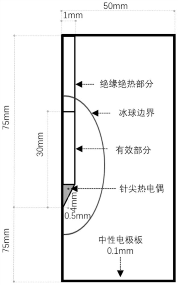 Biological tissue personalized blood perfusion rate evaluation method and system