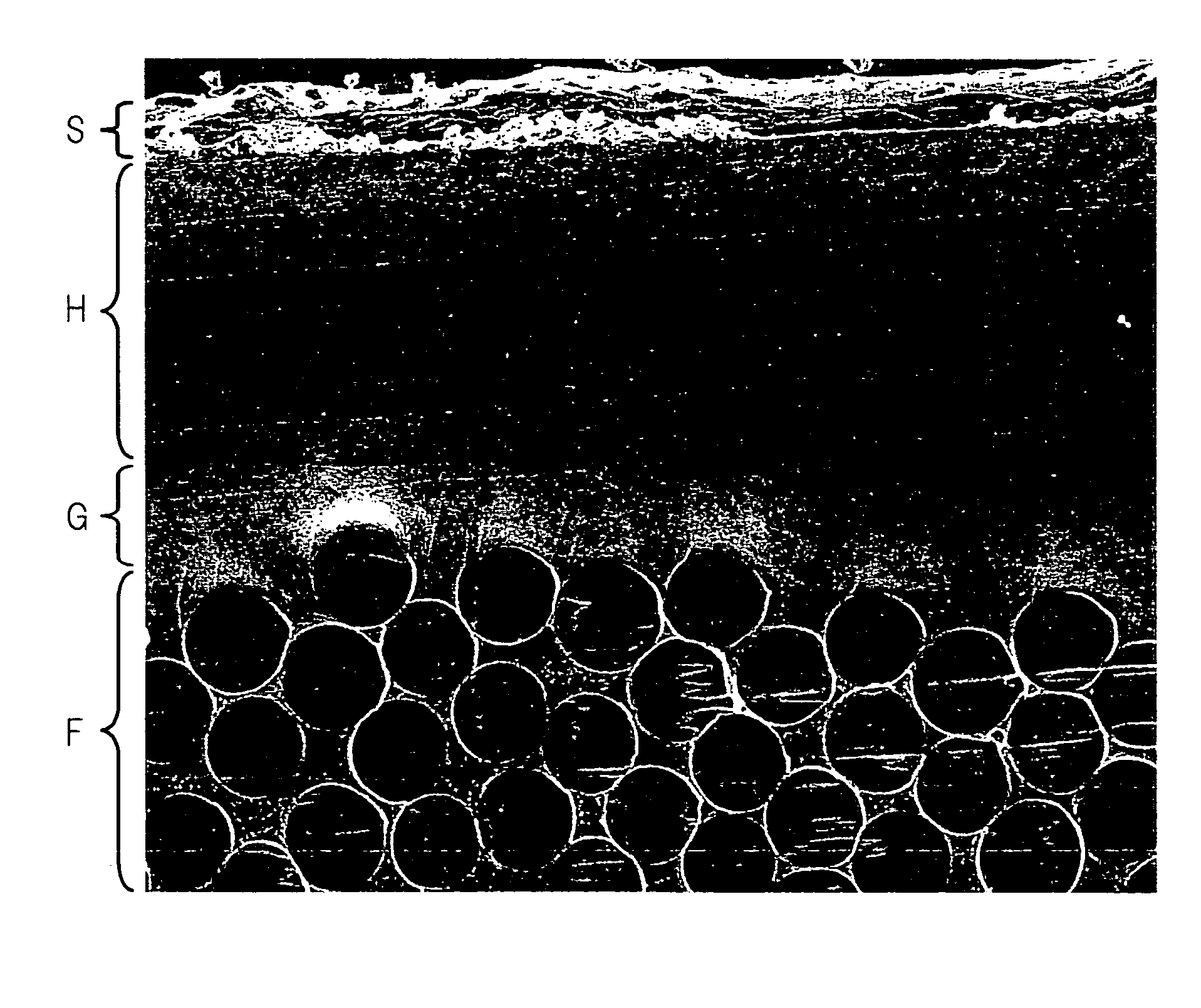 Hollow Weave Fabric for an Air Bag and Method of Producing the Same