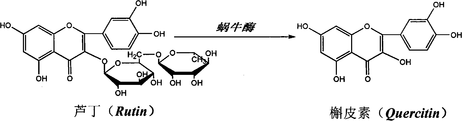 Application of helicase in directionally hydrolyzing rutin for biosynthesizing Quereetin