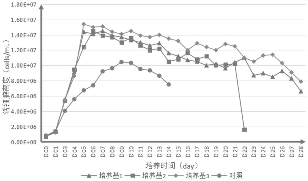 CHO cell serum-free protein-free culture medium and application thereof