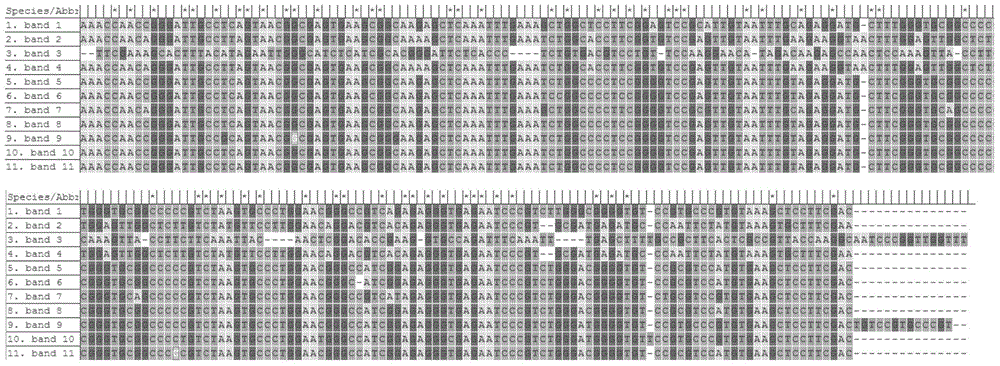 Method for detecting fungal flora during Liupu tea processing process