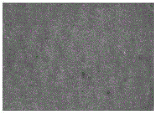 A method for repairing parts by mixing tungsten carbide particles and resin