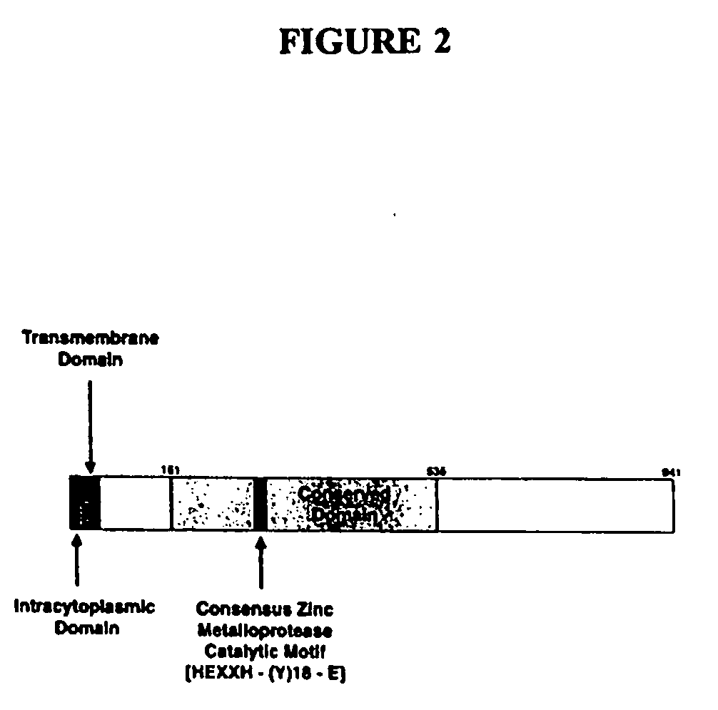 Regulators of type-1 tumor necrosis factor receptor and other cytokine receptor shedding