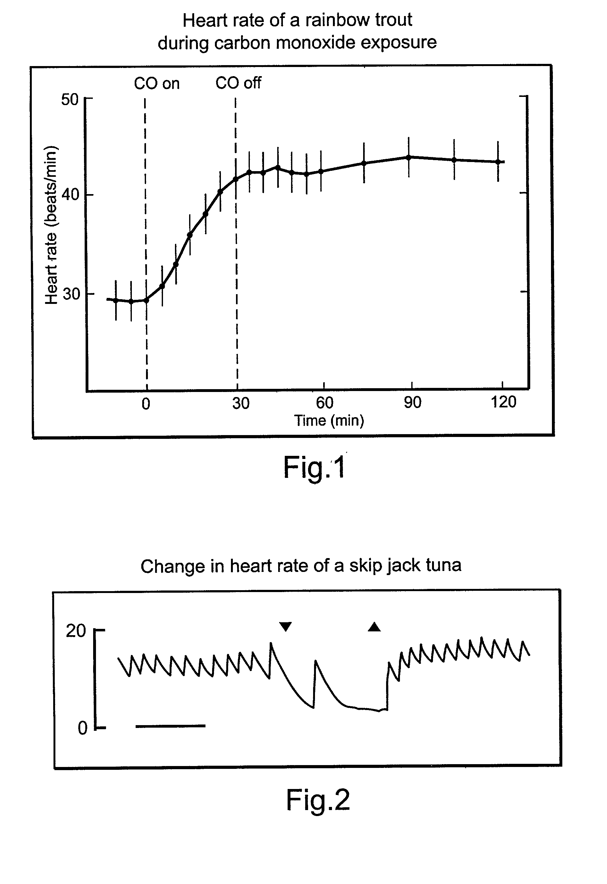 Process to treat fish with tasteless smoke or carbon monoxide through the respiratory and circulatory systems