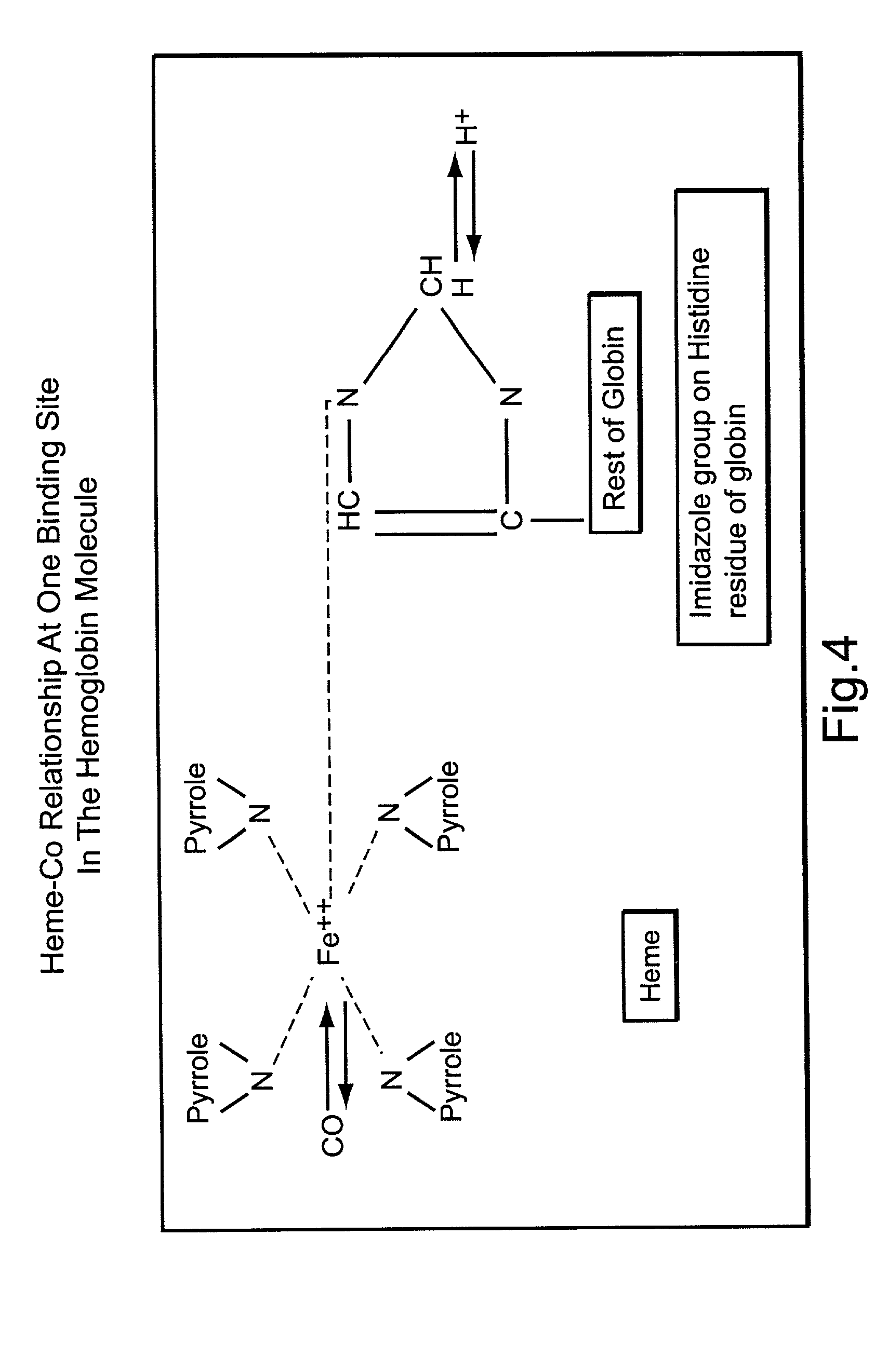 Process to treat fish with tasteless smoke or carbon monoxide through the respiratory and circulatory systems