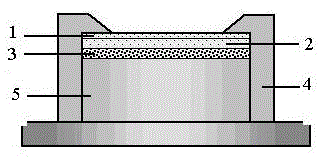 Method for selectively and quantitatively collecting arsenic in water environment