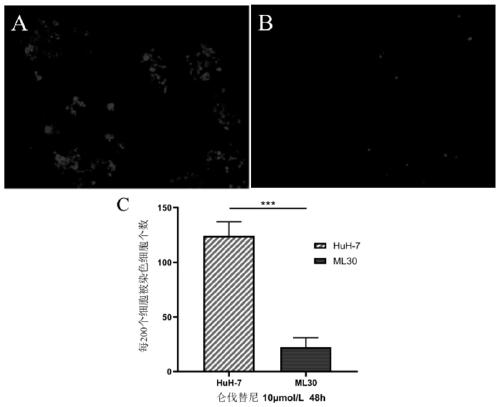 Hepatocellular carcinoma lenvatinib drug-resistance cell strain and preparation method and application thereof