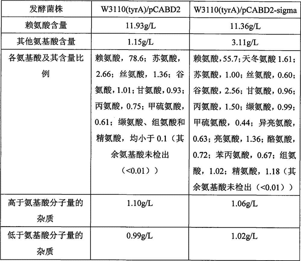 Method for preparing highly-purified L-Lysine sulphate through one-time fermentation