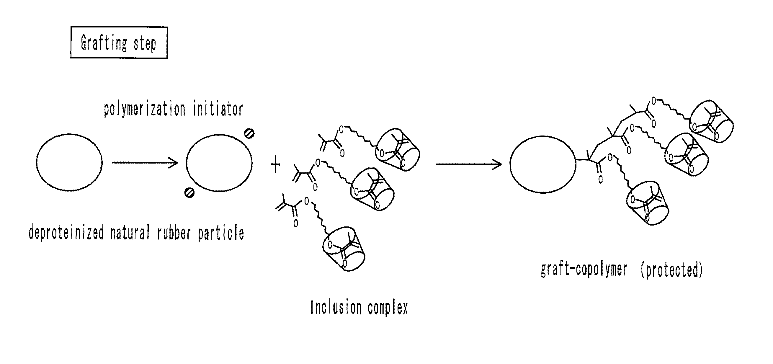 Modified natural rubber particle, production method thereof, and modified natural rubber latex