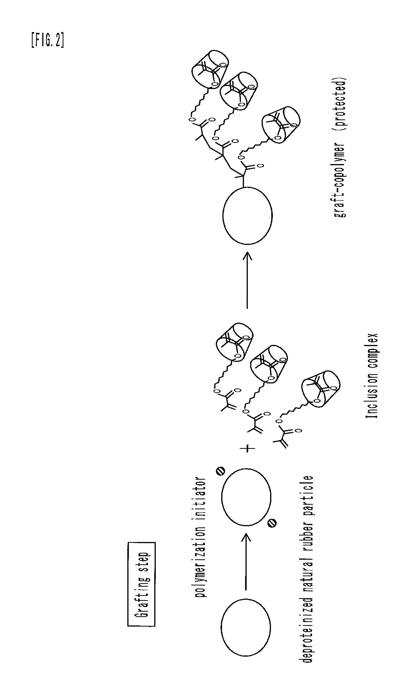 Modified natural rubber particle, production method thereof, and modified natural rubber latex