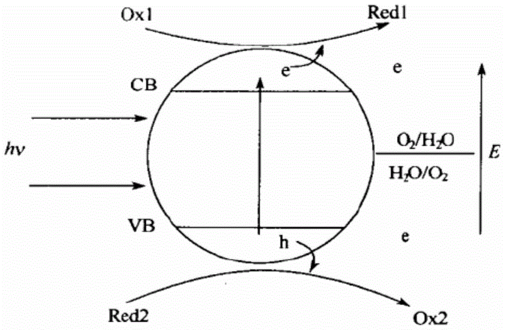 Air purifying paint and preparation method thereof