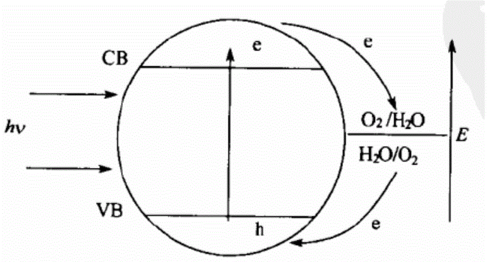 Air purifying paint and preparation method thereof