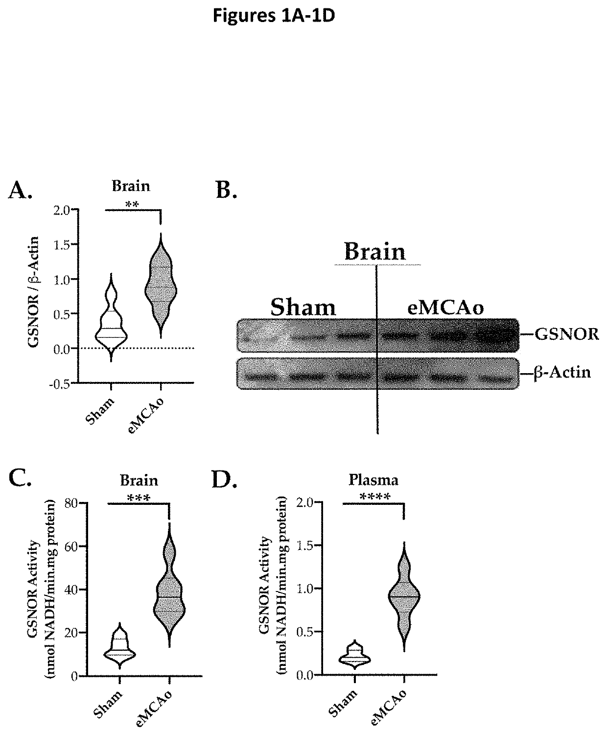 GSNO reductase inhibitor as an adjunct therapy with remote ischemic conditioning and thrombolytic reperfusion therapies in cerebral thrombosis and/or thromboembolic stroke