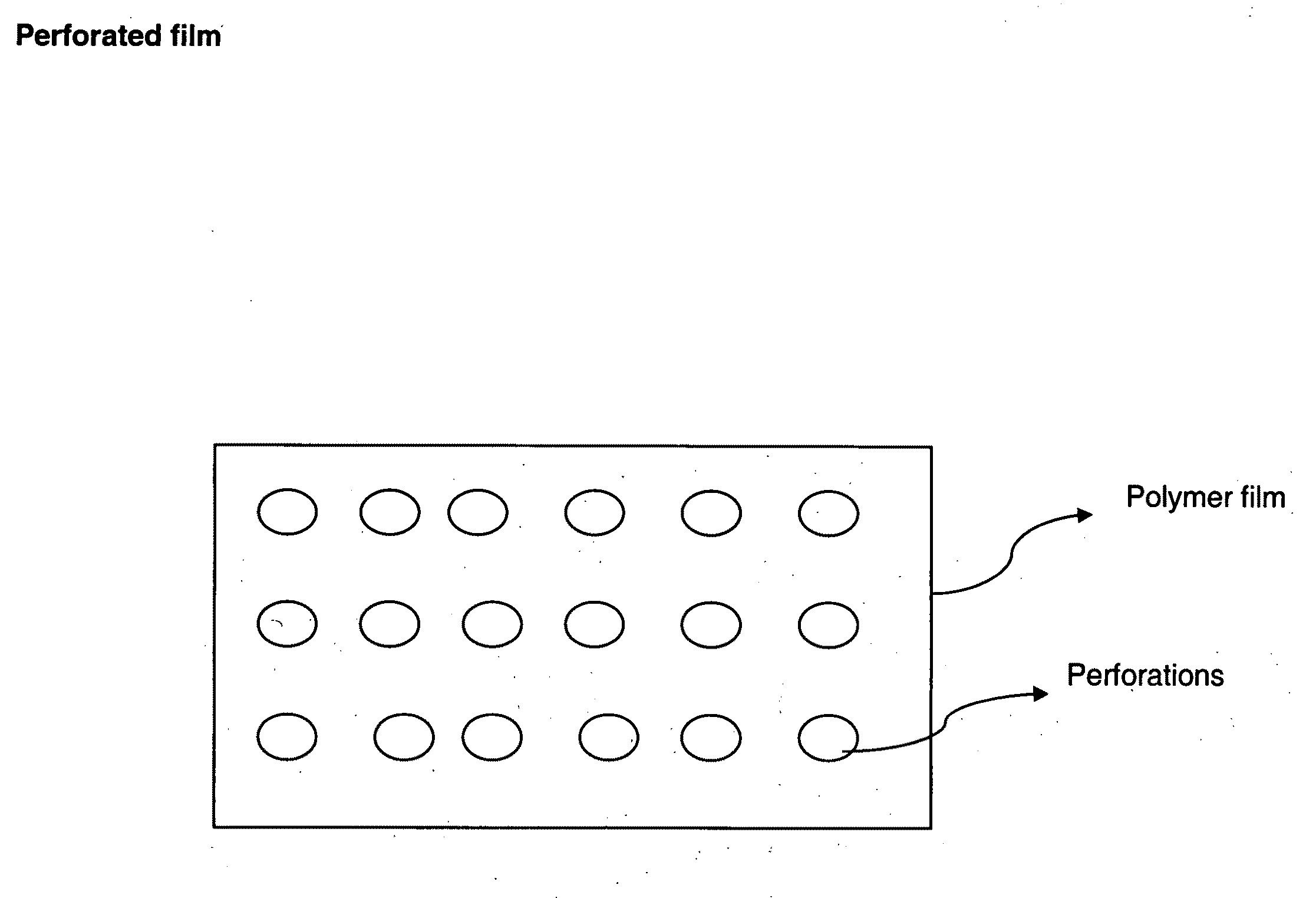 Perforated water soluble polymer based edible films