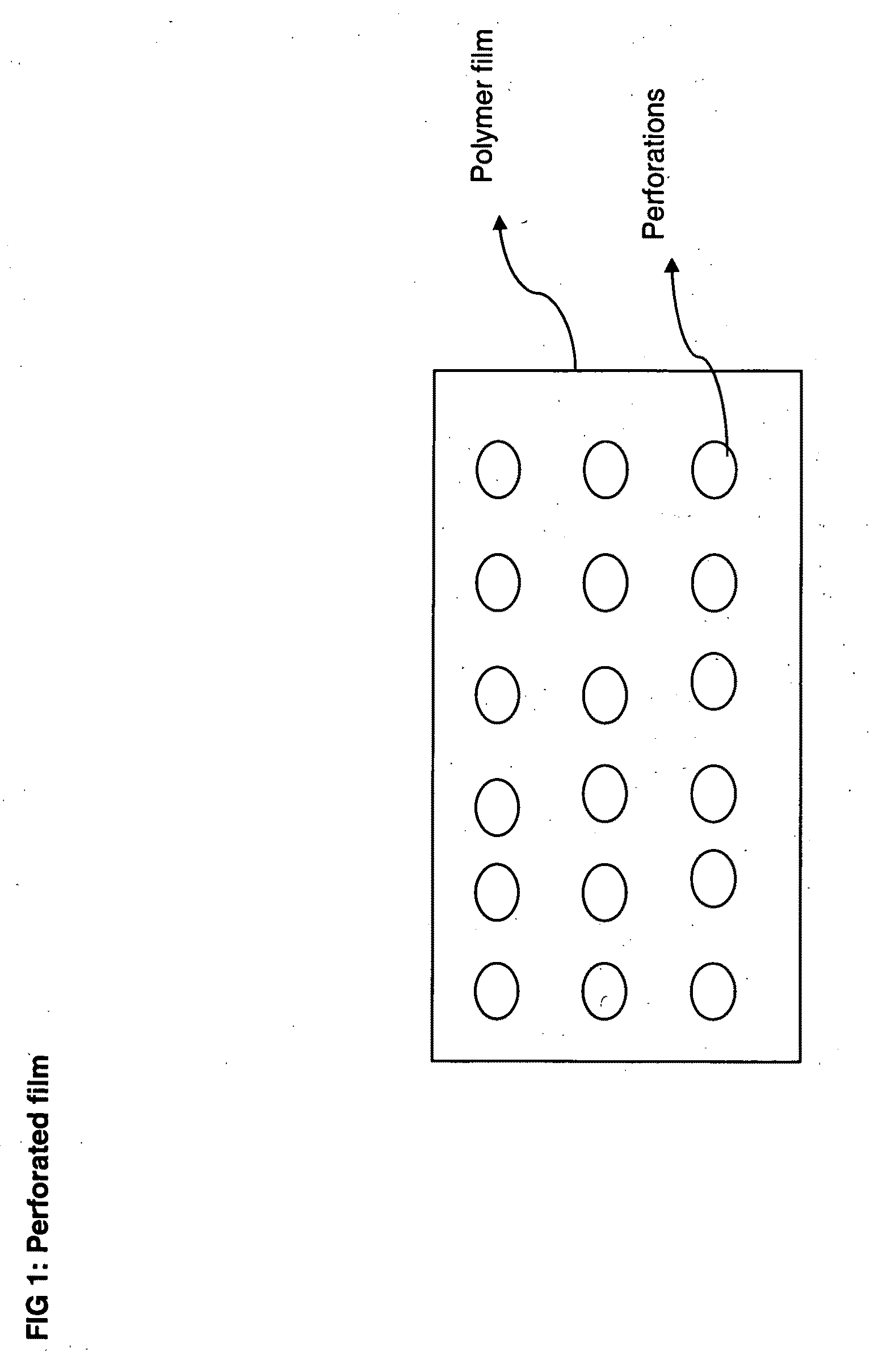 Perforated water soluble polymer based edible films