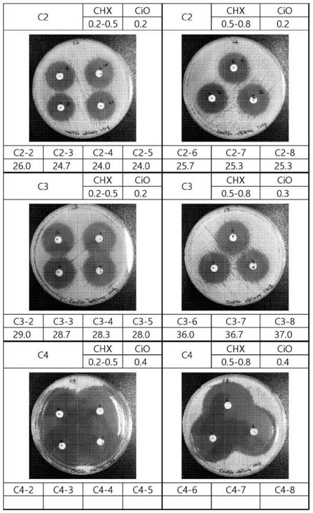 Composition for prevention or treatment of skin infection