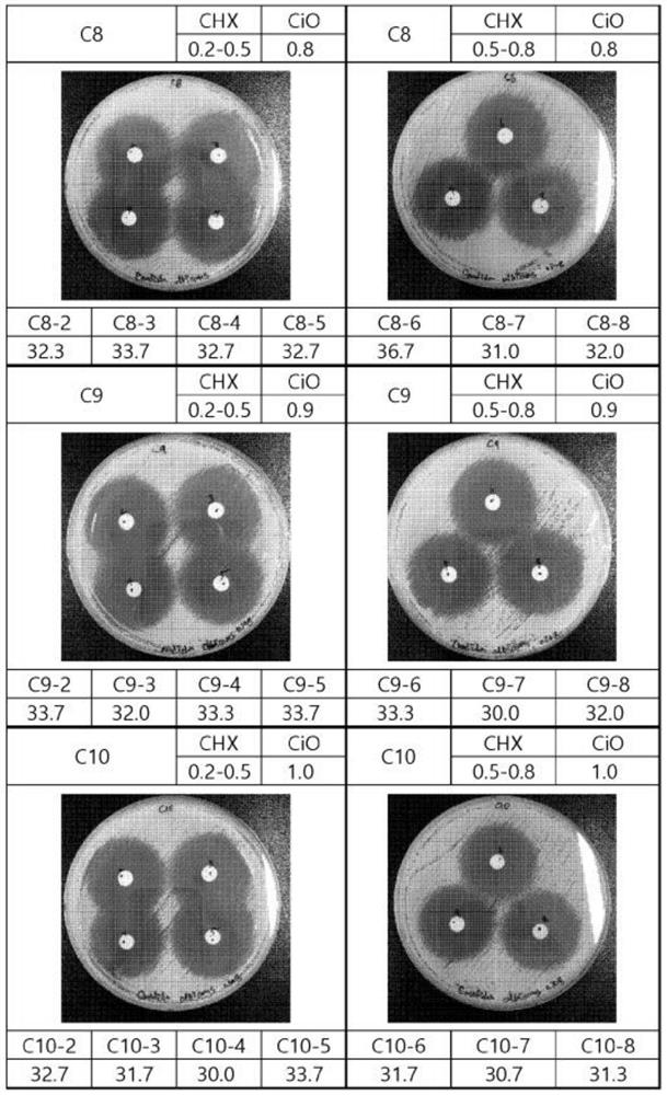 Composition for prevention or treatment of skin infection