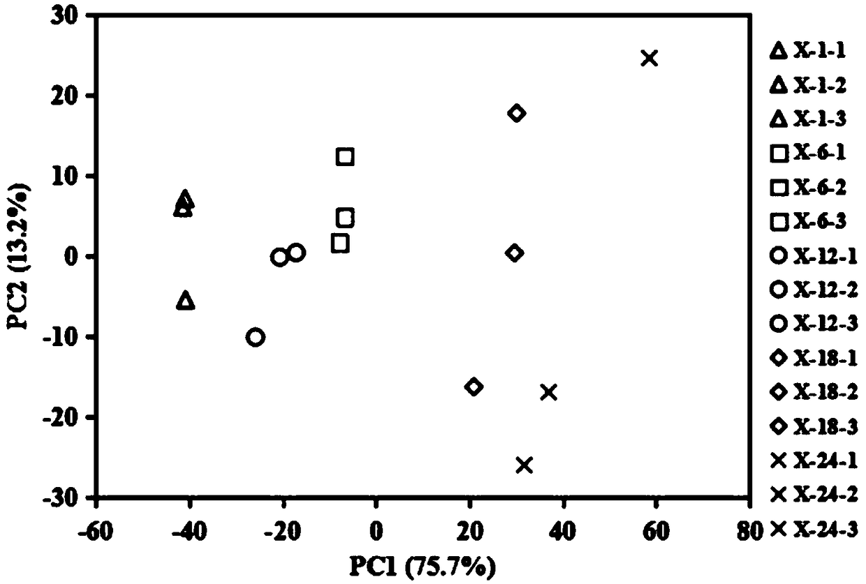 An analysis method for a Corynebacterium glutamicum metabolome