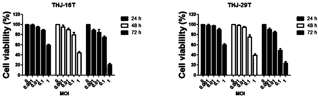 Oncolytic virus and application