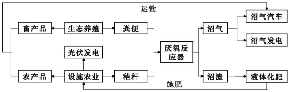 Intensive circular agricultural system combining facility agriculture and ecological farming