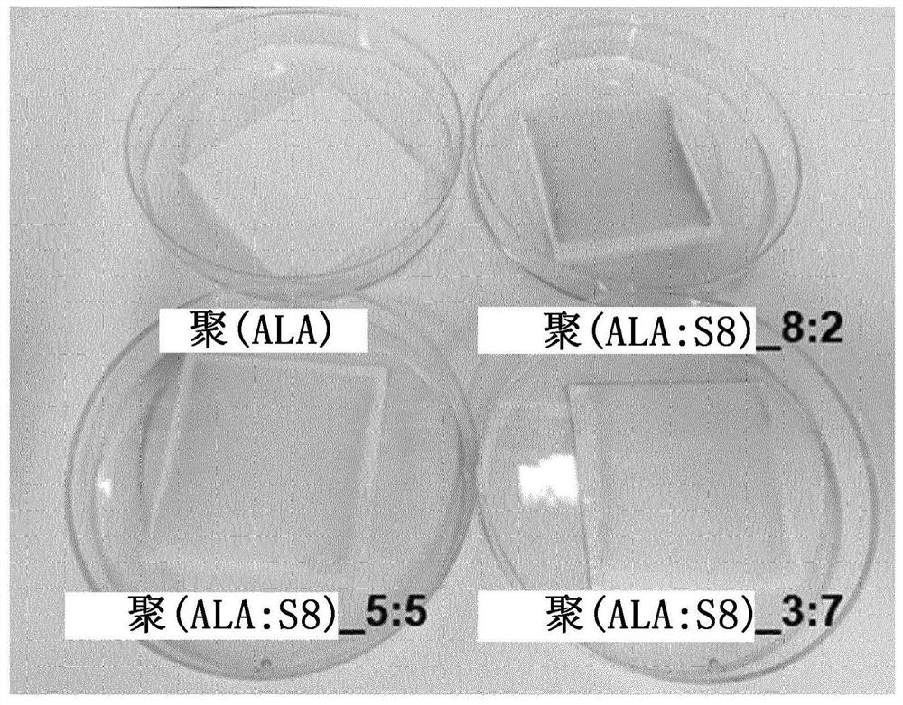 Lithium metal negative electrode and lithium metal battery comprising same