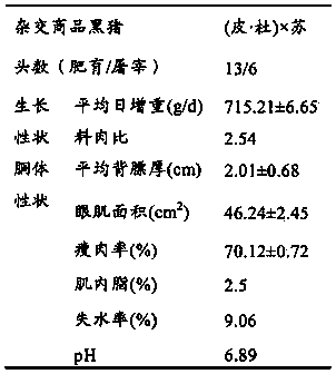 Specialized strain breeding method for commercial black pigs