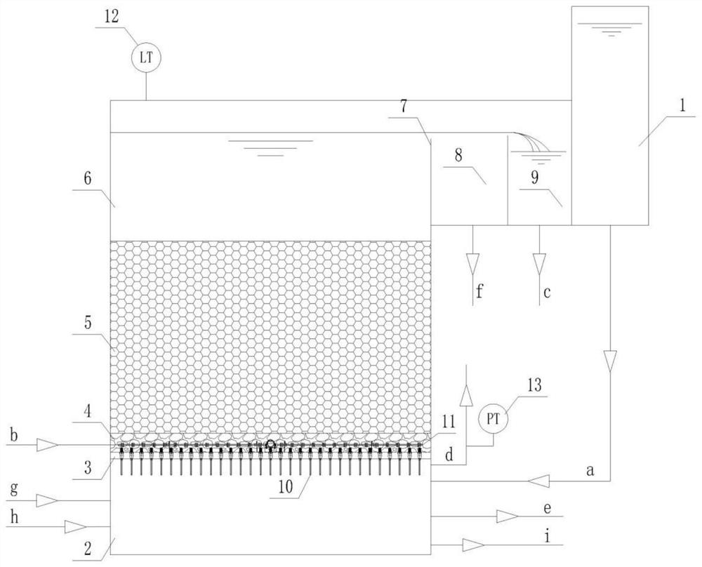 Method for preventing loss of filter material during back washing of biological aerated filter (BAF)