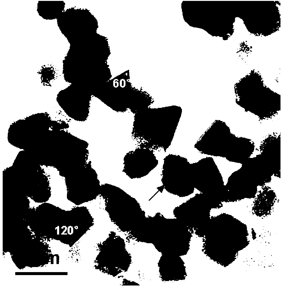 Method for preparing palladium nanometer sheet with optical property