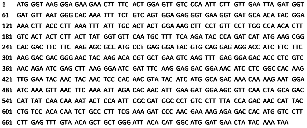 A Saccharomyces cerevisiae gene expression system and its construction and application