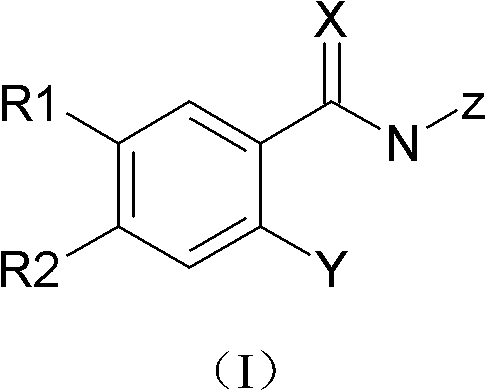 Substituted benzamide compounds and preparation method and application thereof