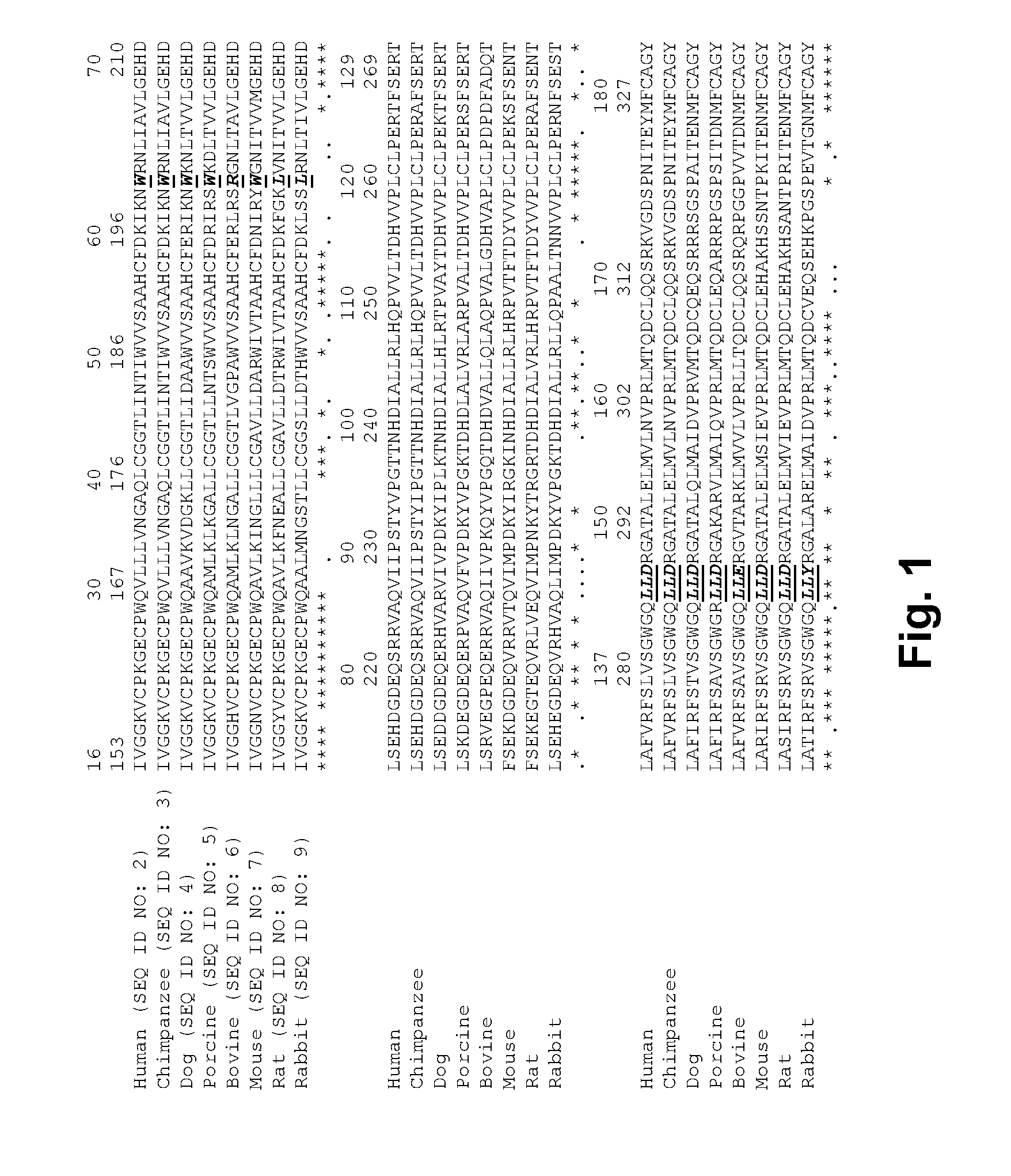 Coagulation factor VII polypeptides